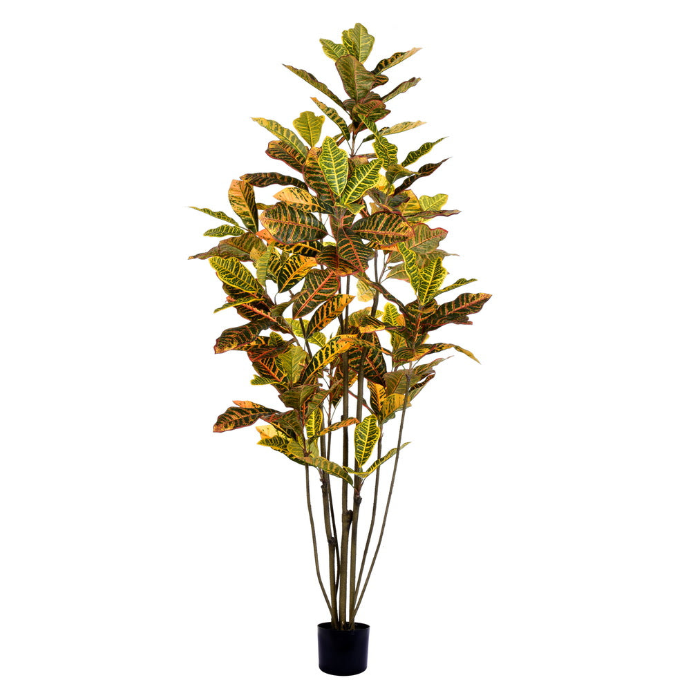 Vickerman 6' Potted Croton Tree W/140 Lvs-Green/O - TB170672