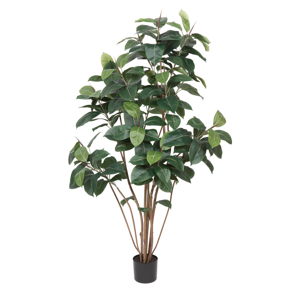 Vickerman 6' Potted Rubber Tree W/185 Lvs-Green - TB170772