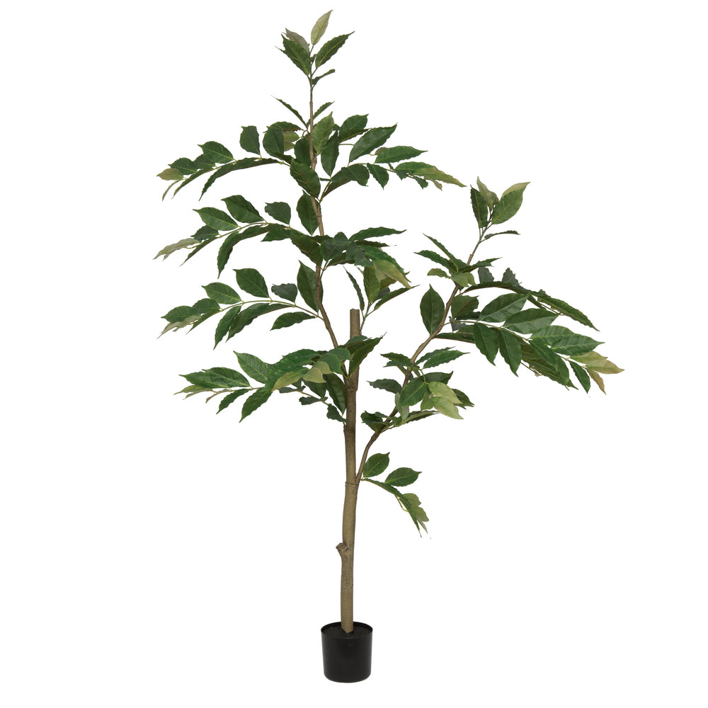Vickerman 5' Potted Nandina Treew/226 Lvs-Green - TB170860