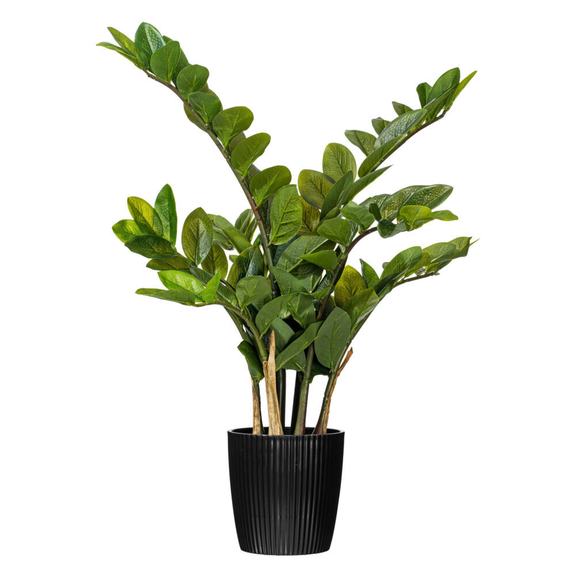 Vickerman 28″ Potted Green Zamifolia Artificial Bush.