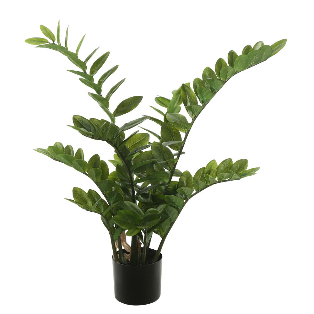 Vickerman 36″ Zamifolia Bush w/Pot -Green - TB170902