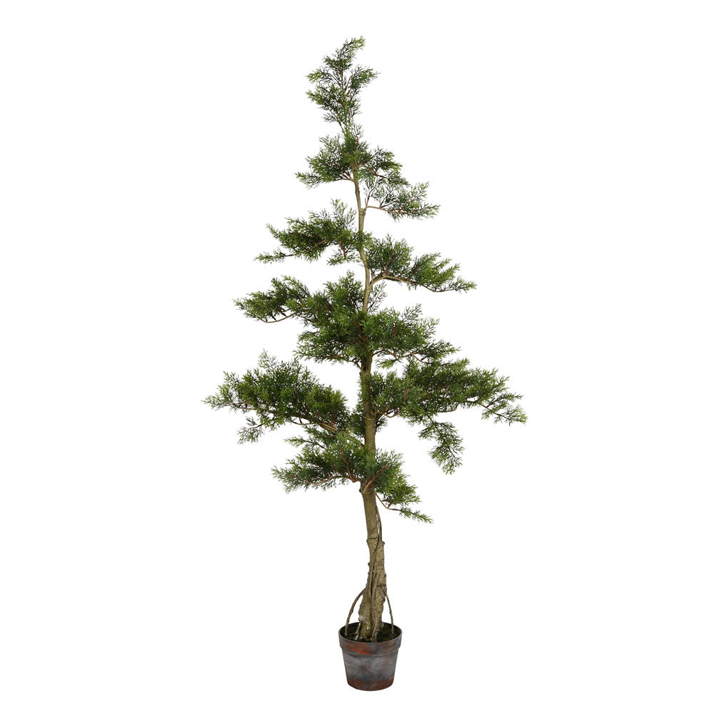 Vickerman 5' Potted Cedar Tree 323Lvs - TB180160