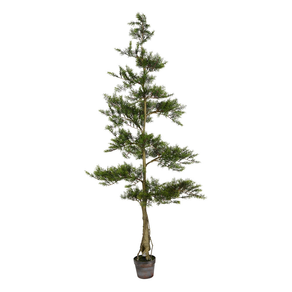 Vickerman 6' Potted Cedar Tree 390Lvs - TB180172