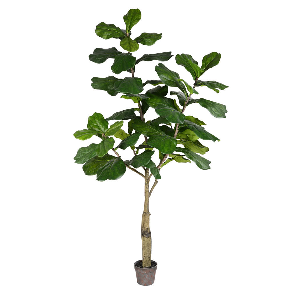 Vickerman 6' Potted Fiddle Tree 65Lvs - TB180272