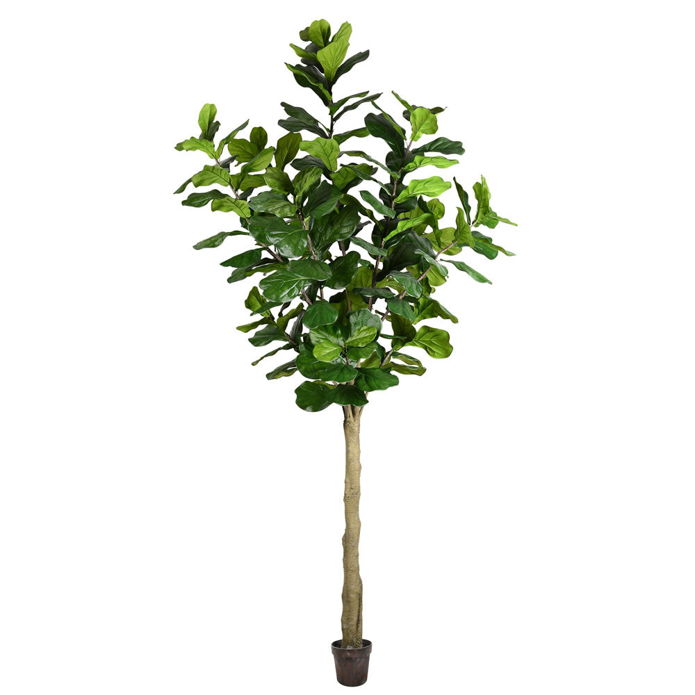 Vickerman 10' Potted Fiddle Tree 184Lvs - TB180299