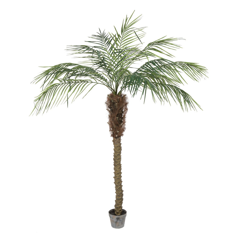 Vickerman 6' Potted Phoenix Palm Tree 545Lvs - TB180372