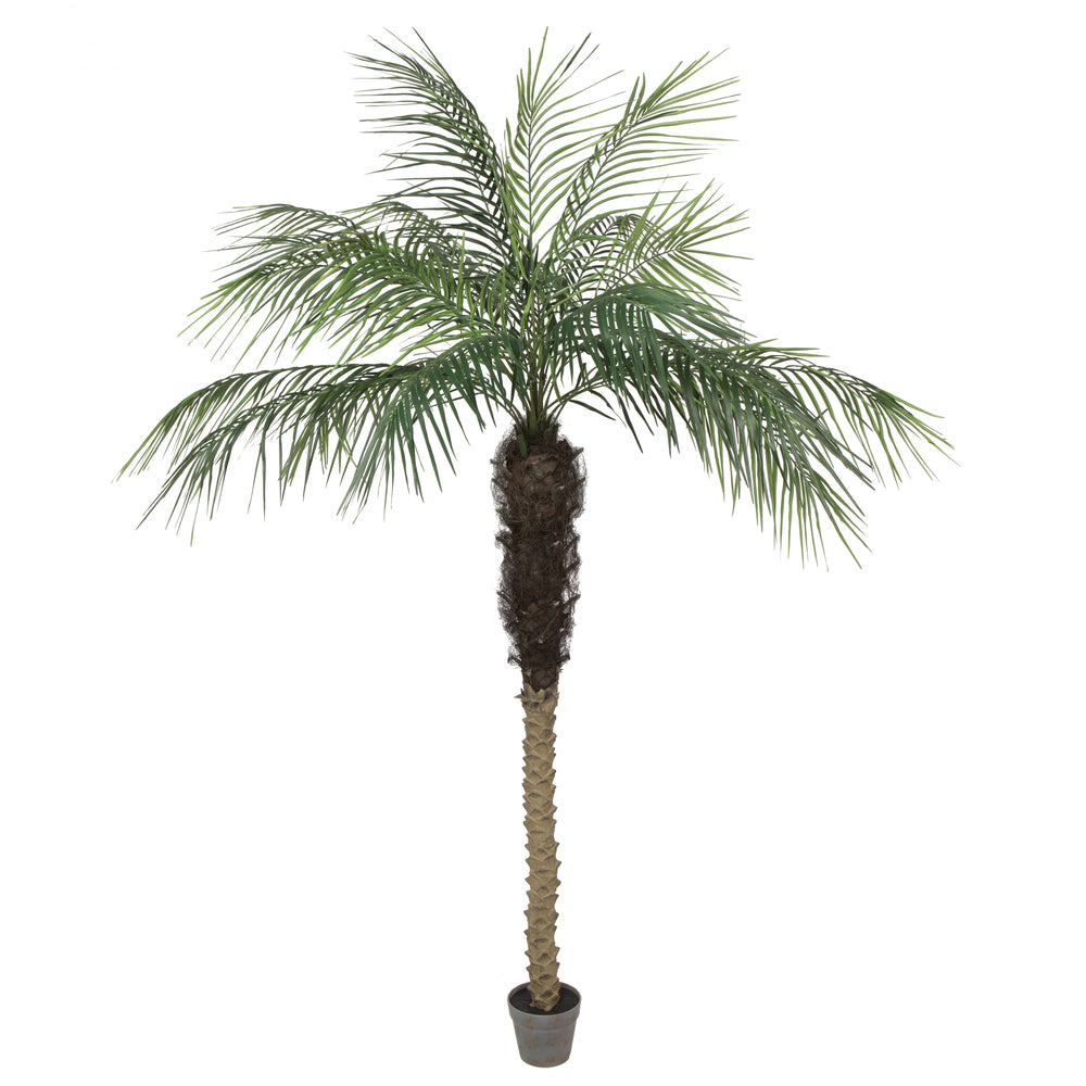 Vickerman 7' Potted Pheonix Palm Tree 899Lvs - TB180384