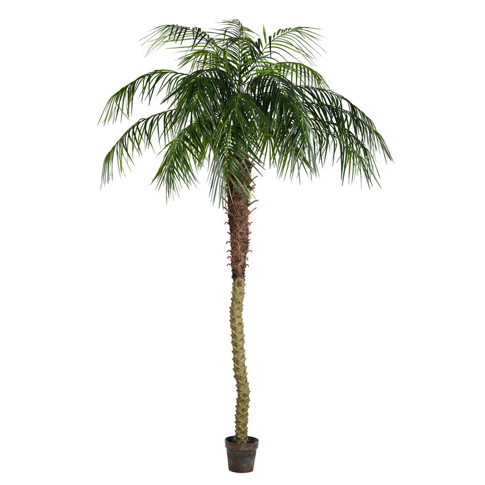 Vickerman 8' Potted Pheonix Palm Tree 1095Lvs - TB180396