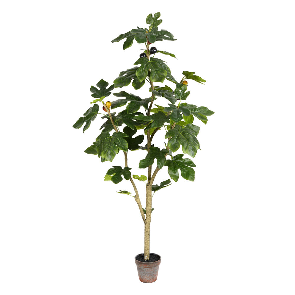 Vickerman 4' Potted Fig Tree 45Lvs - TB180448
