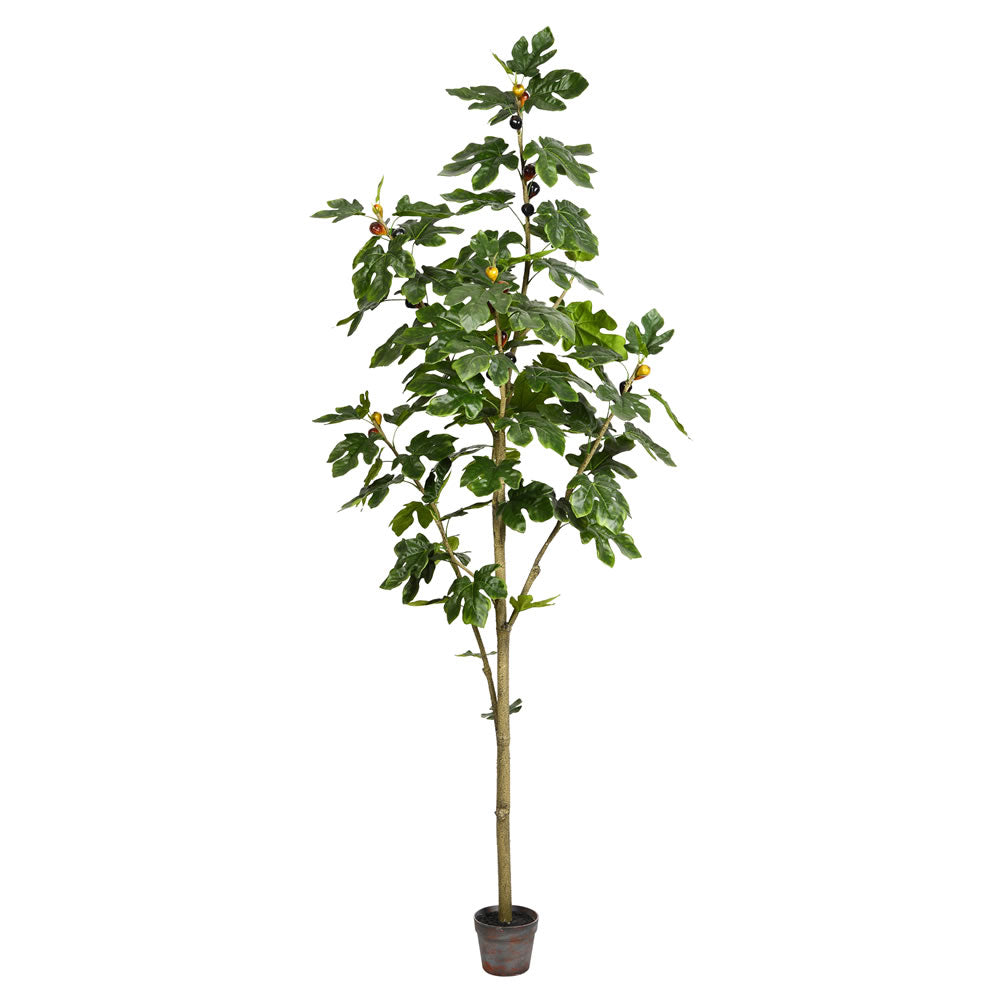 Vickerman 7' Potted Fig Tree 86Lvs - TB180484