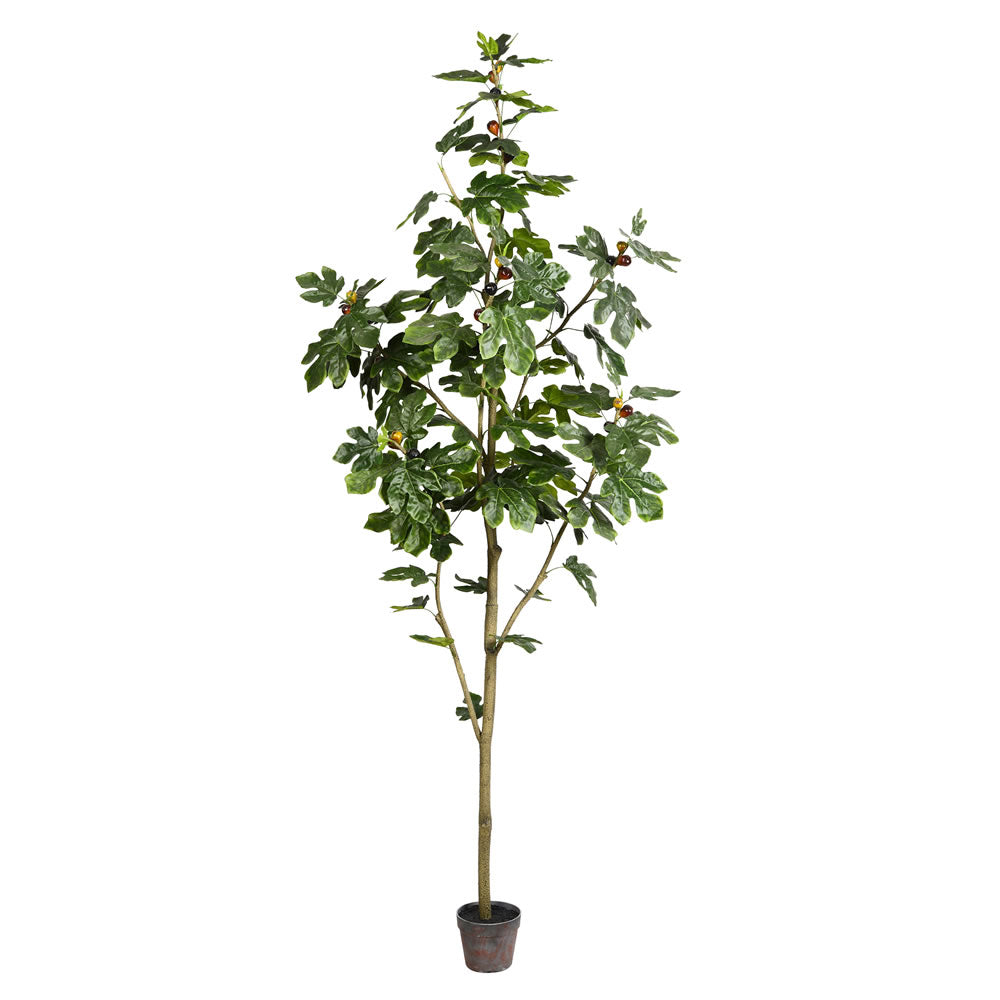 Vickerman 8' Potted Fig Tree 100Lvs - TB180496