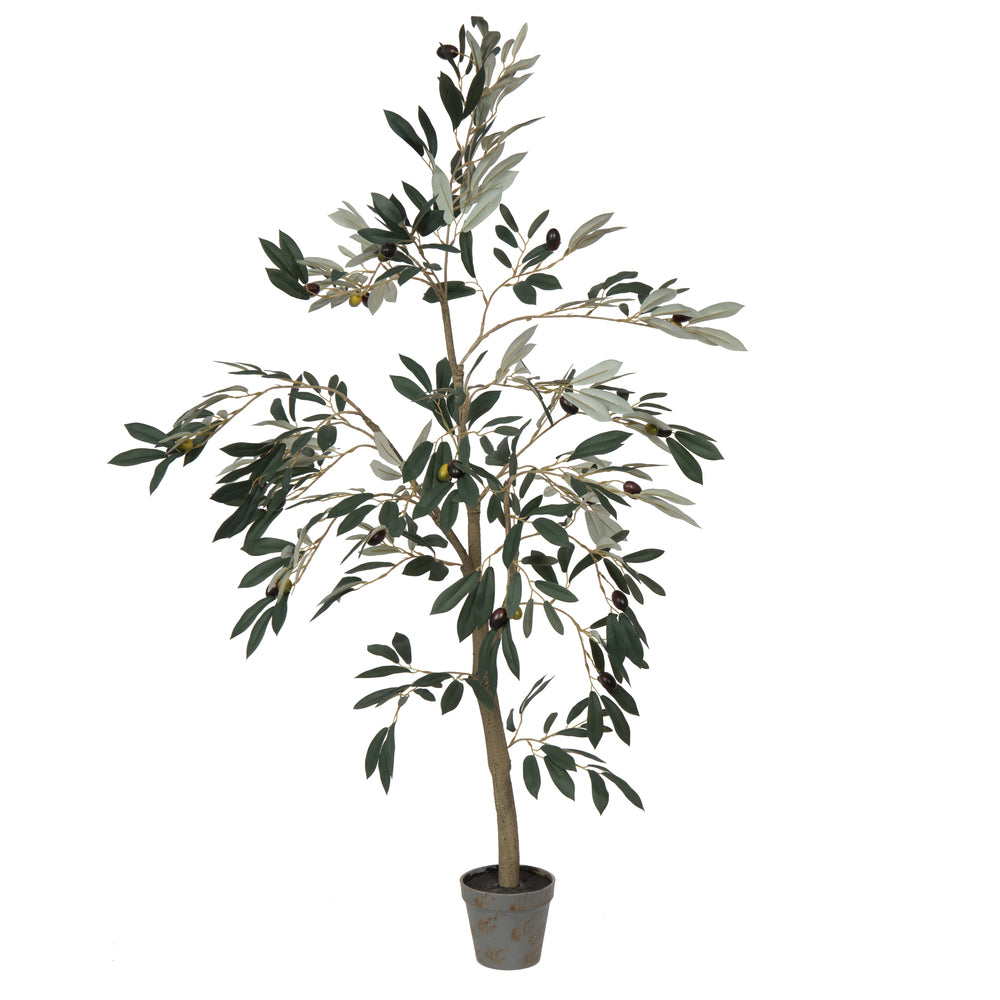 Vickerman 4' Potted Olive Tree 408 Lvs - TB180548