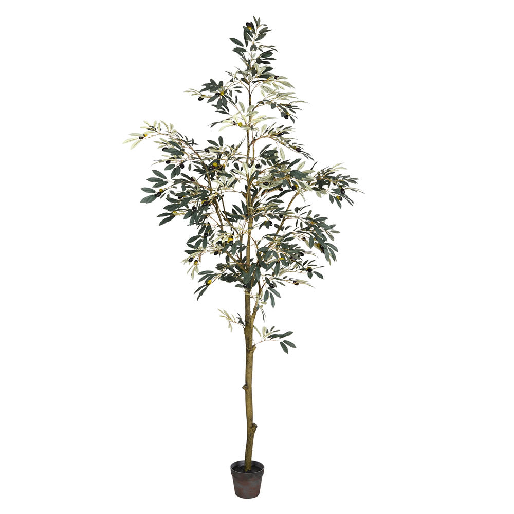 Vickerman 7' Potted Olive Tree 1175Lvs - TB180584