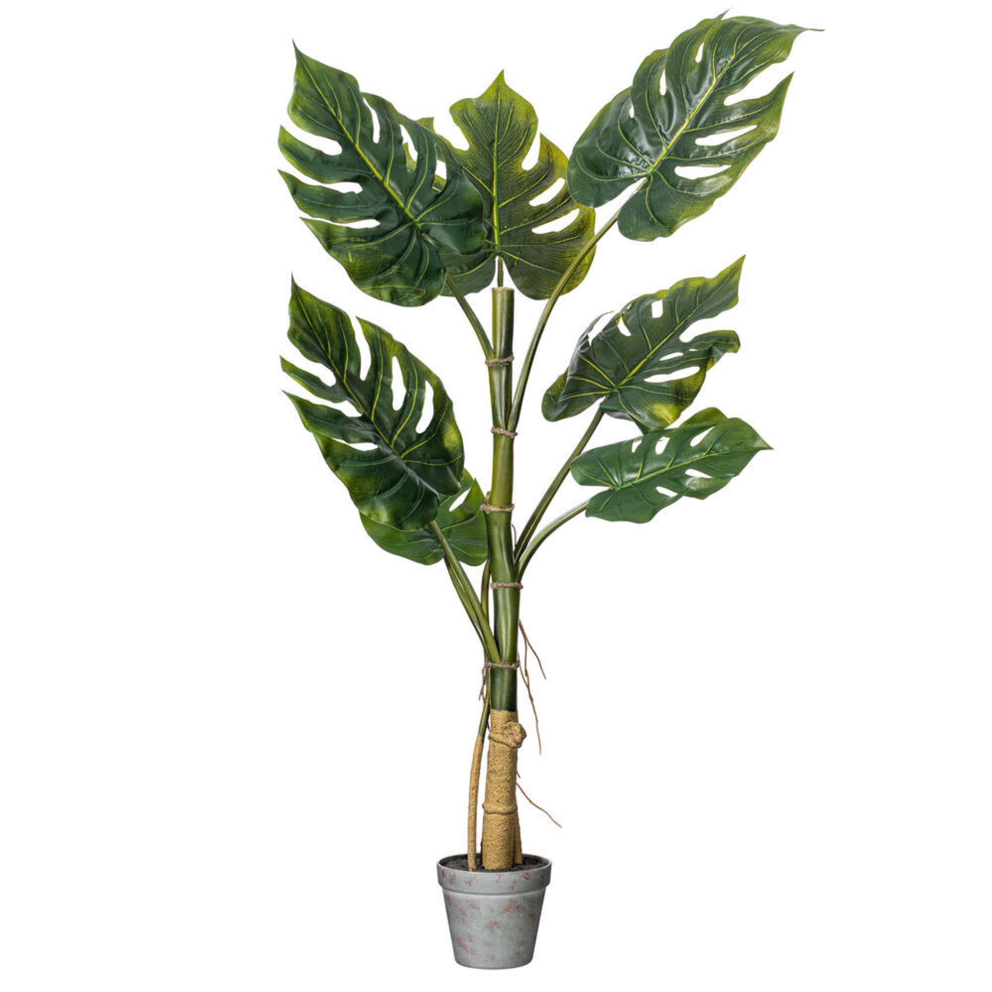 Vickerman 38” Artificial Potted Grand Split Philodendron Tree.
