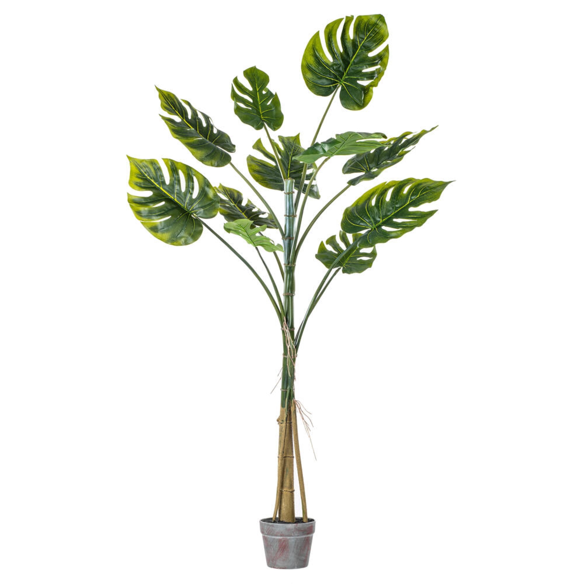 Vickerman 54” Artificial Potted Grand Split Philodendron Tree.
