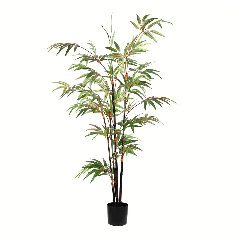 Vickerman 4' Potted Black Japanese Bamboo Tree - TB190140