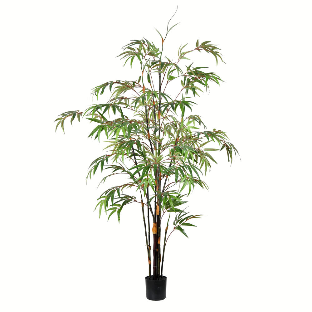 Vickerman 5' Potted Black Japanese Bamboo Tree - TB190150