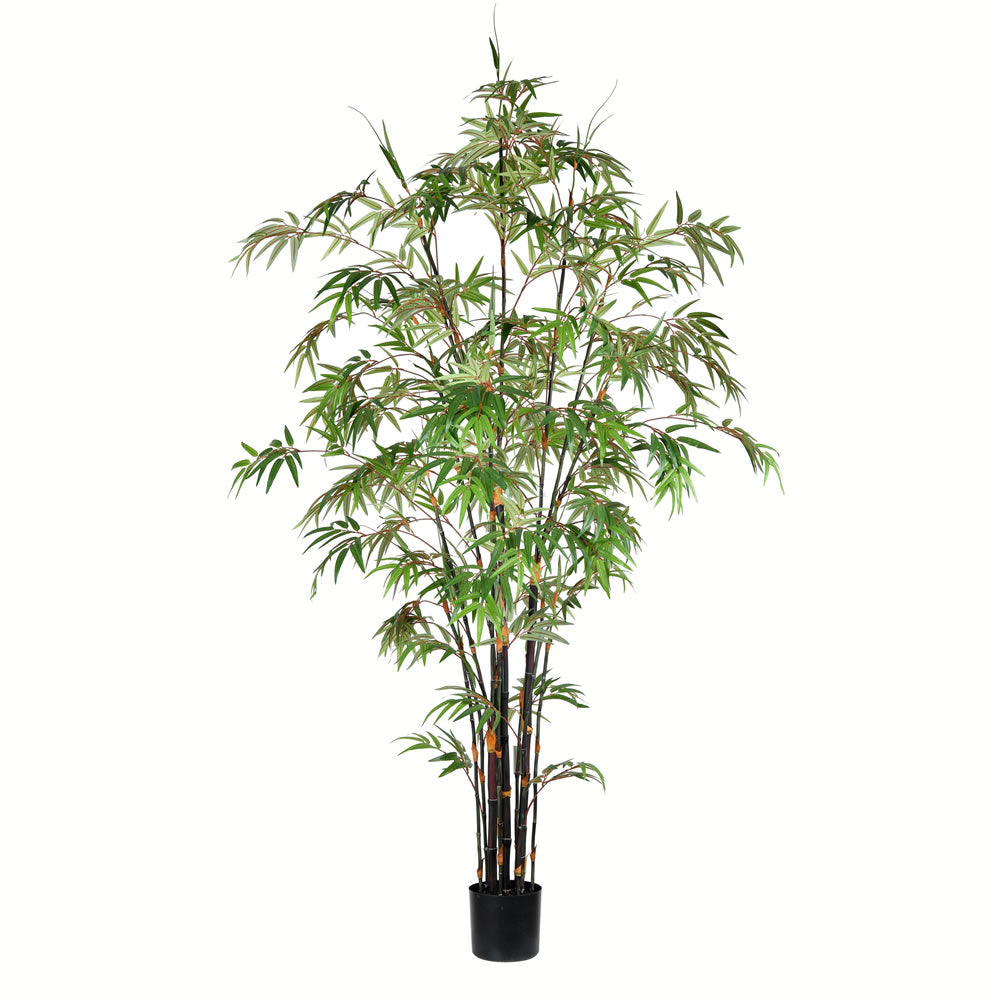 Vickerman 7' Potted Black Japanese Bamboo Tree - TB190170