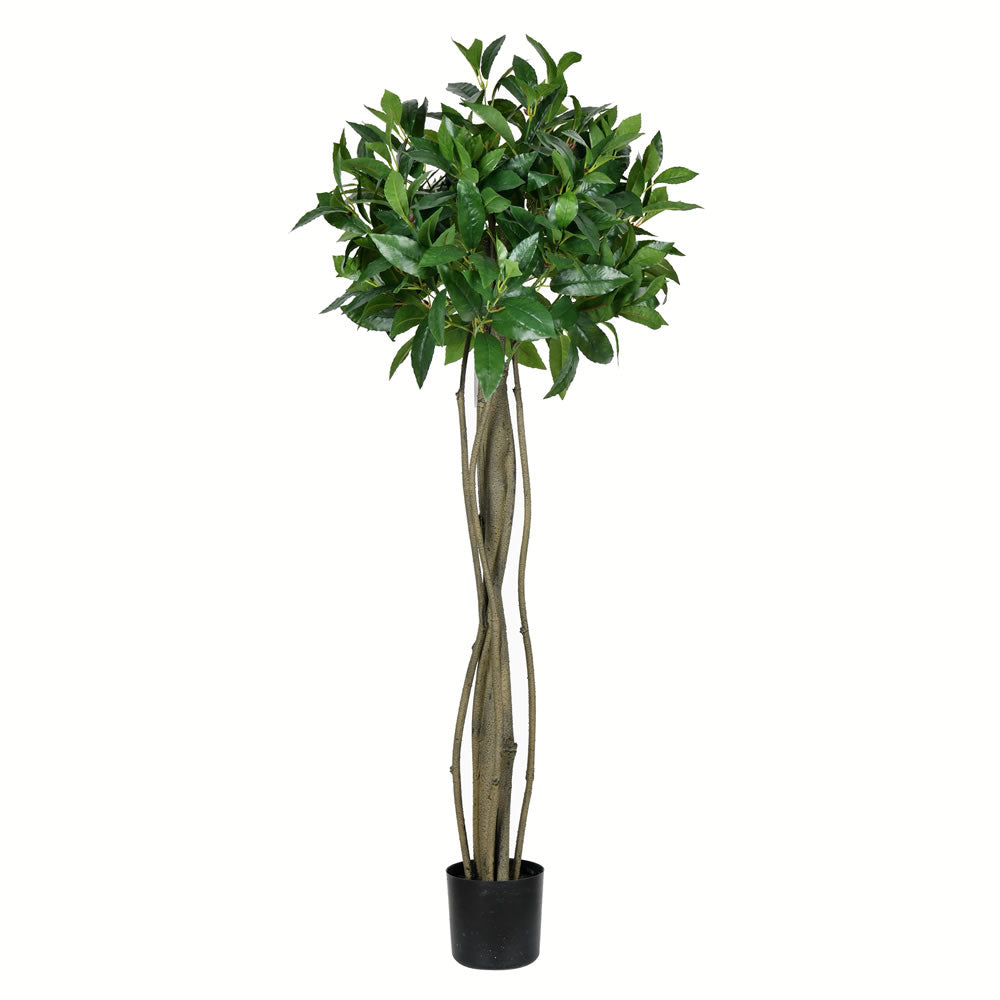 Vickerman 4' Potted Bay Leaf Topiary 324 Leaves - TB190340