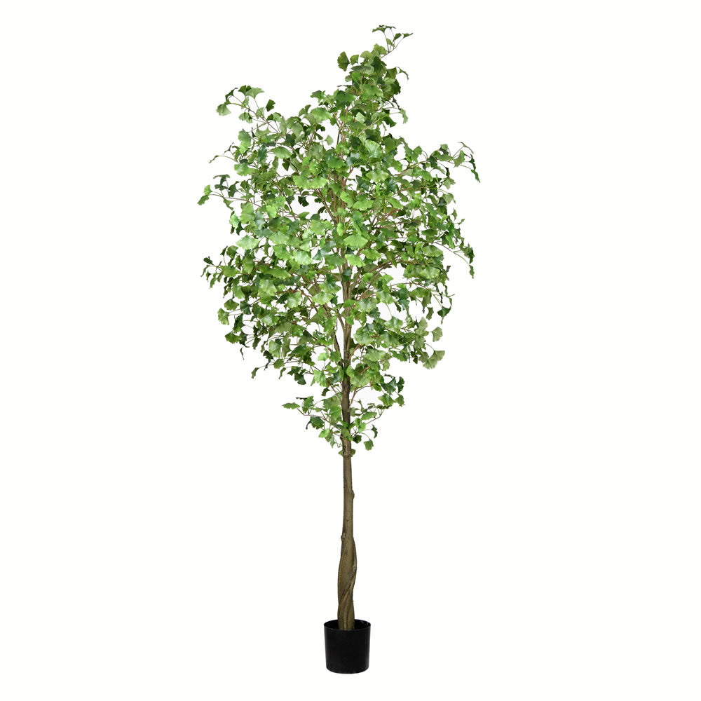 Vickerman 9' Potted Ginko Tree 1491 Leaves - TB190690