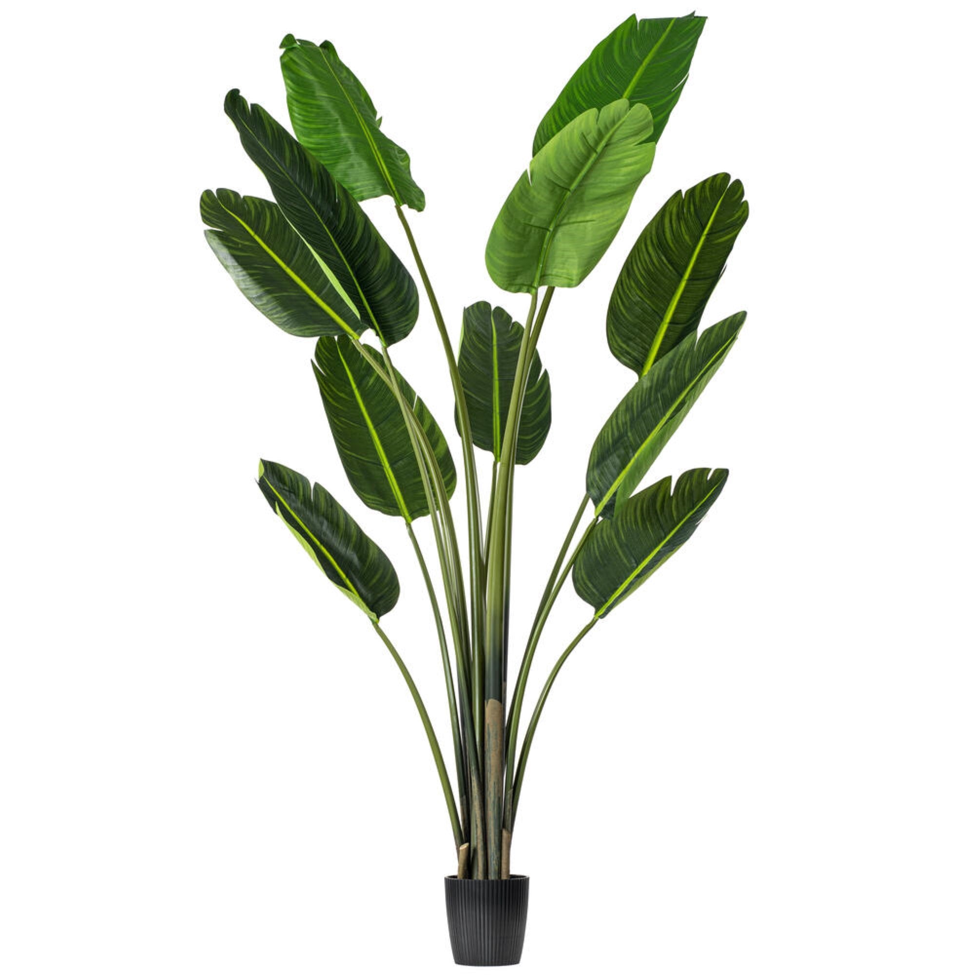 Vickerman 6' Artificial Potted Travellers Palm Tree.
