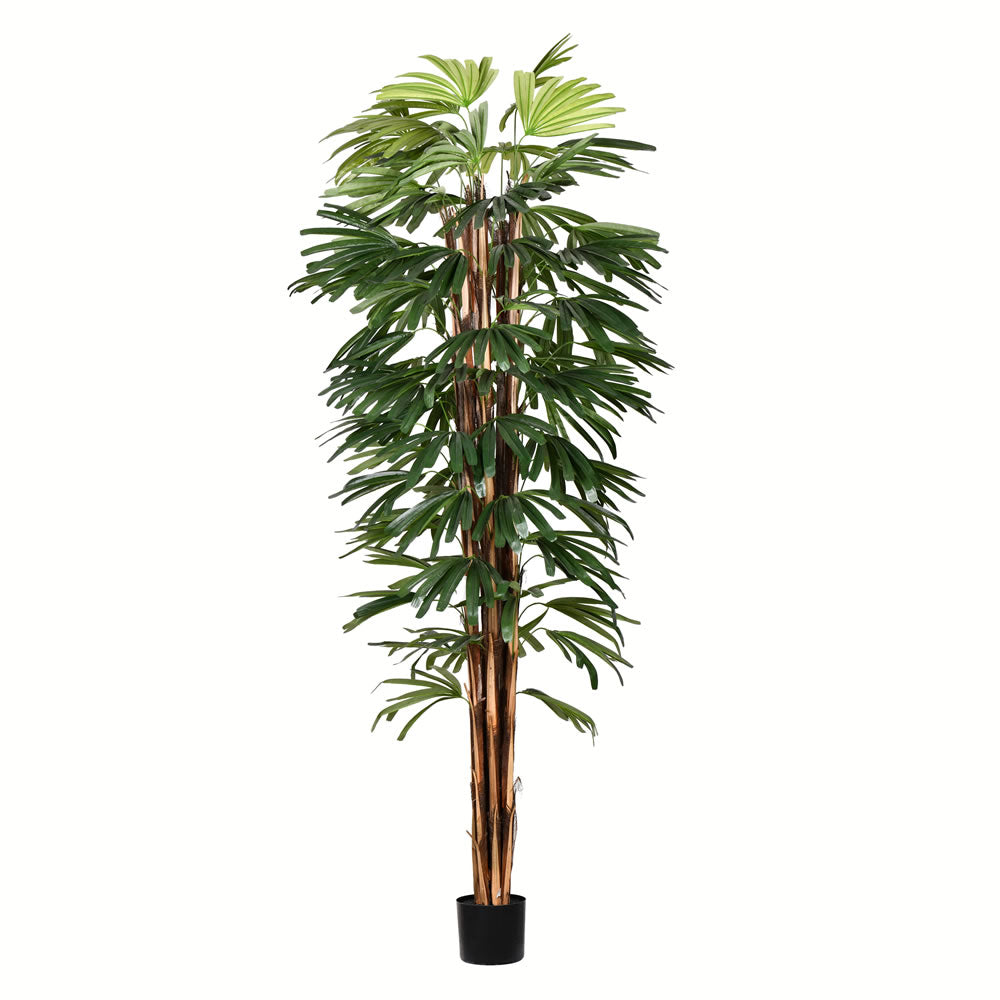 Vickerman 7' Potted Rhaphis Tree 551 Leaves - TB190970