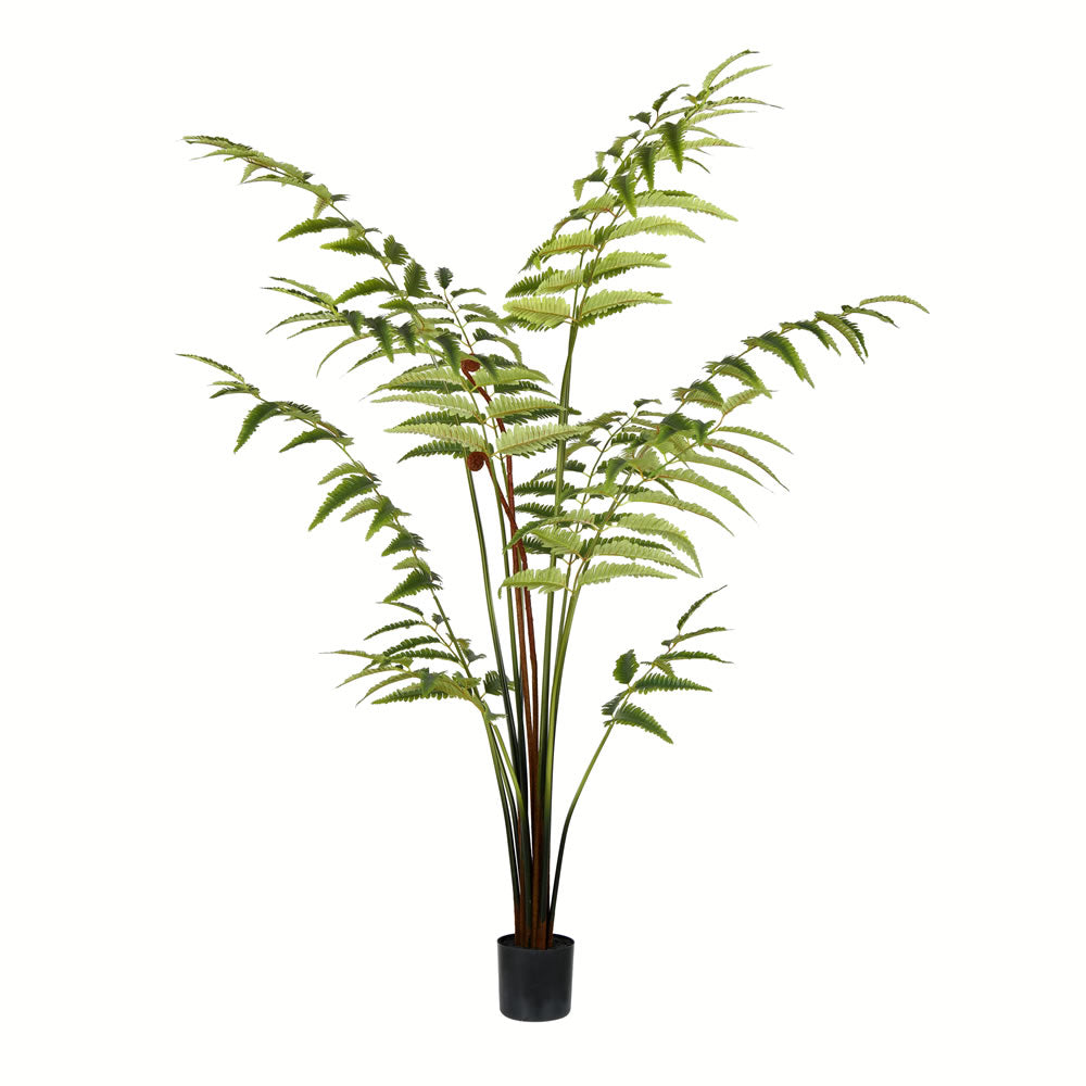 Vickerman 5' Potted Leather Fern 180 Leaves - TB191150