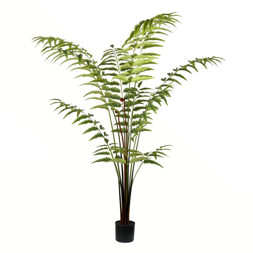 Vickerman 6' Potted Leather Fern 228 Leaves - TB191160