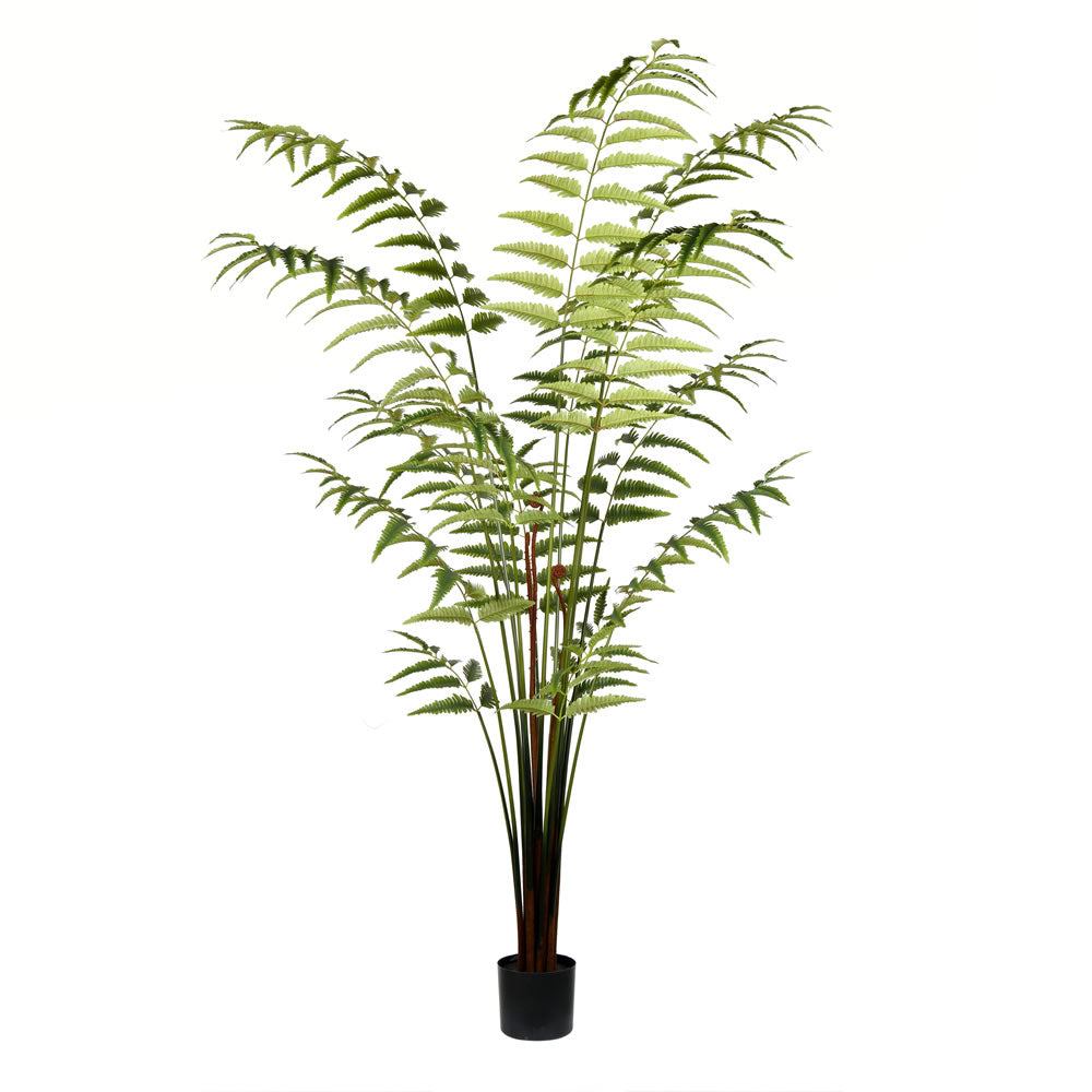 Vickerman 7' Potted Leather Fern 279 Leaves - TB191170