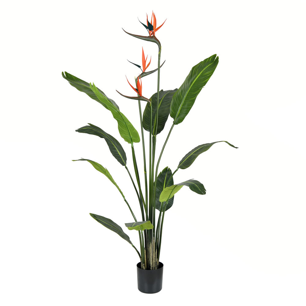 Vickerman 4' Potted Bird of Paradise Palm 11 Leave - TB191240