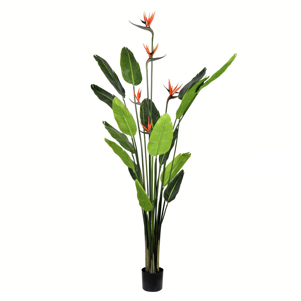 Vickerman 6' Potted Bird of Paradise Palm 16 Leave - TB191260