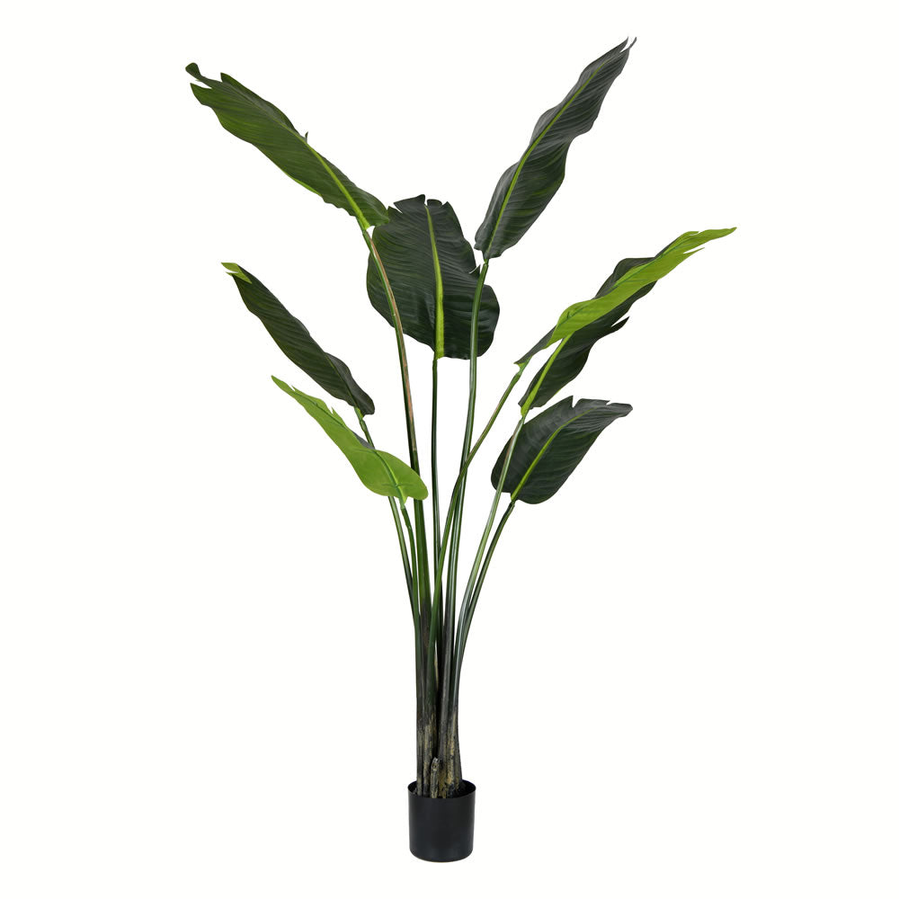 Vickerman 5' Potted Travelers Palm 8 Leaves - TB191850