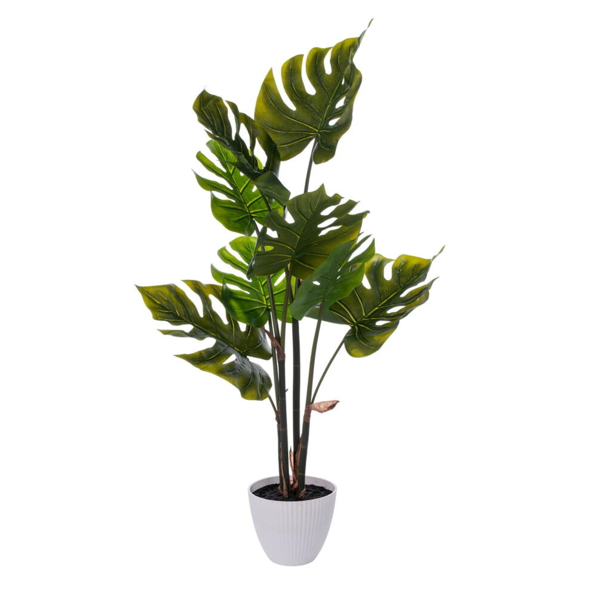 37” Green Monstera Plant x8 in White Pot