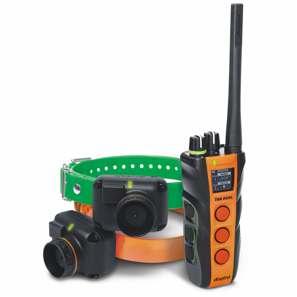 Dual Dial Train & Beep 2-Dog