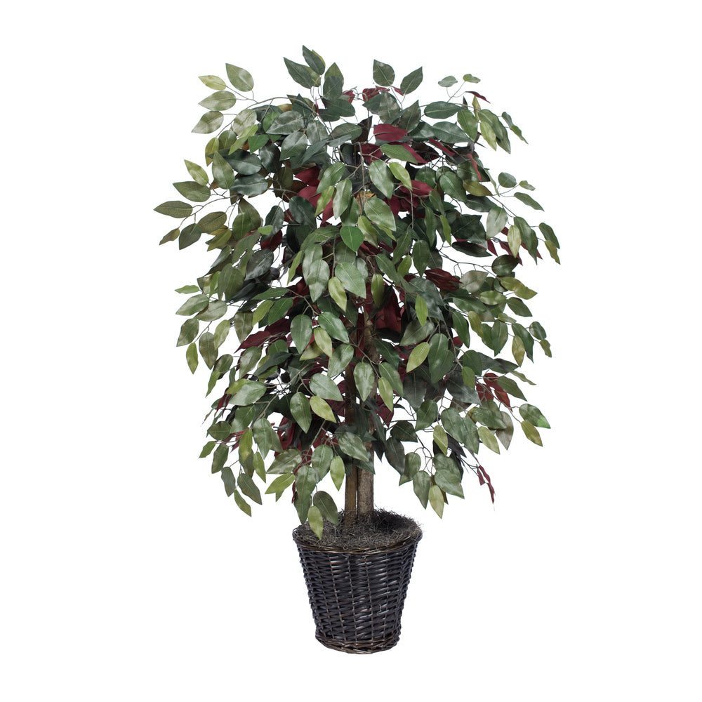 Vickerman 4' Capensia Bush - TBU0340