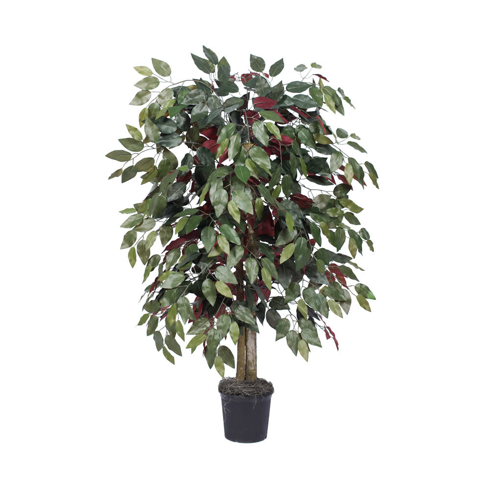 Vickerman 4' Capensia Bush - TBU0340-06