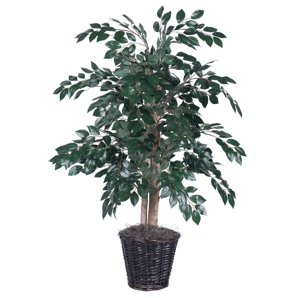 Vickerman 4' Sakaki Bush - TBU0740