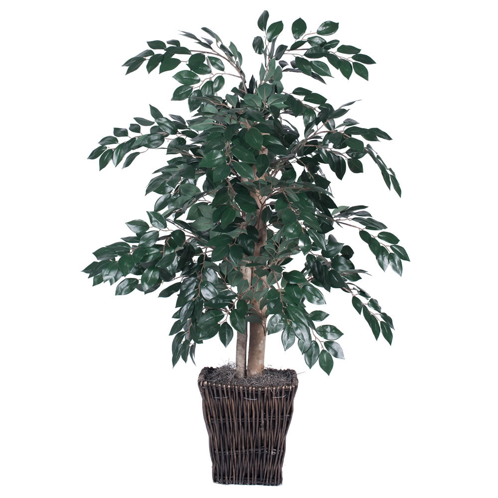 Vickerman 4' Sakaki Bush - TBU0740-0414