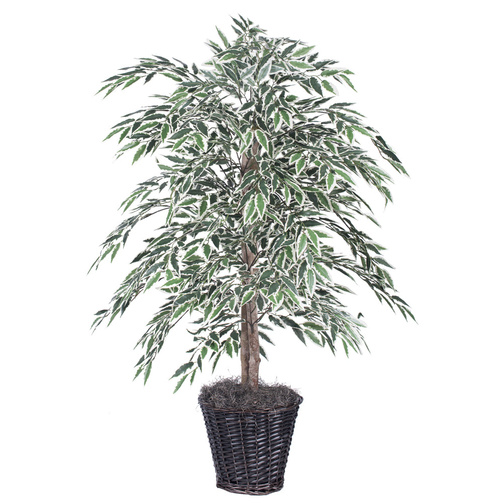 Vickerman 4' Variegated Smilax Bush - TBU1340