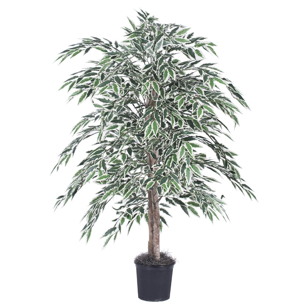 Vickerman 4' Variegated Smilax Bush - TBU1340-06