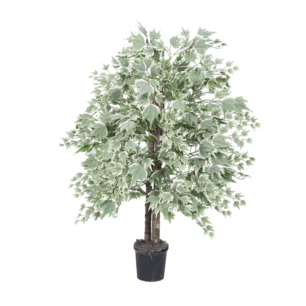Vickerman 4' Silver Maple Bush - TBU1640-06