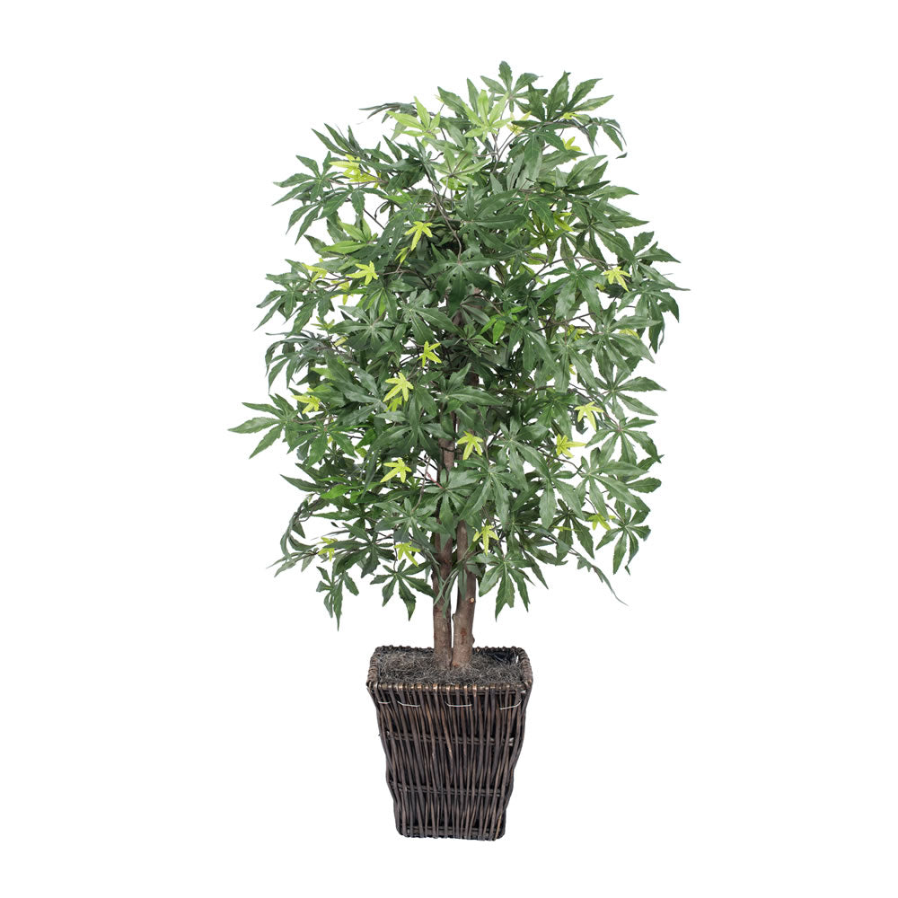 Vickerman 4' Japanese Maple Bush - TBU1840-0414