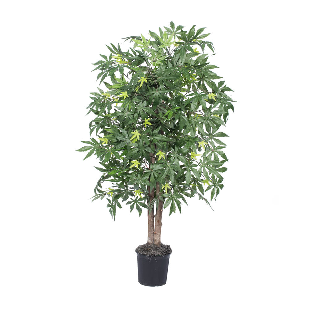 Vickerman 4' Japanese Maple Bush - TBU1840-06