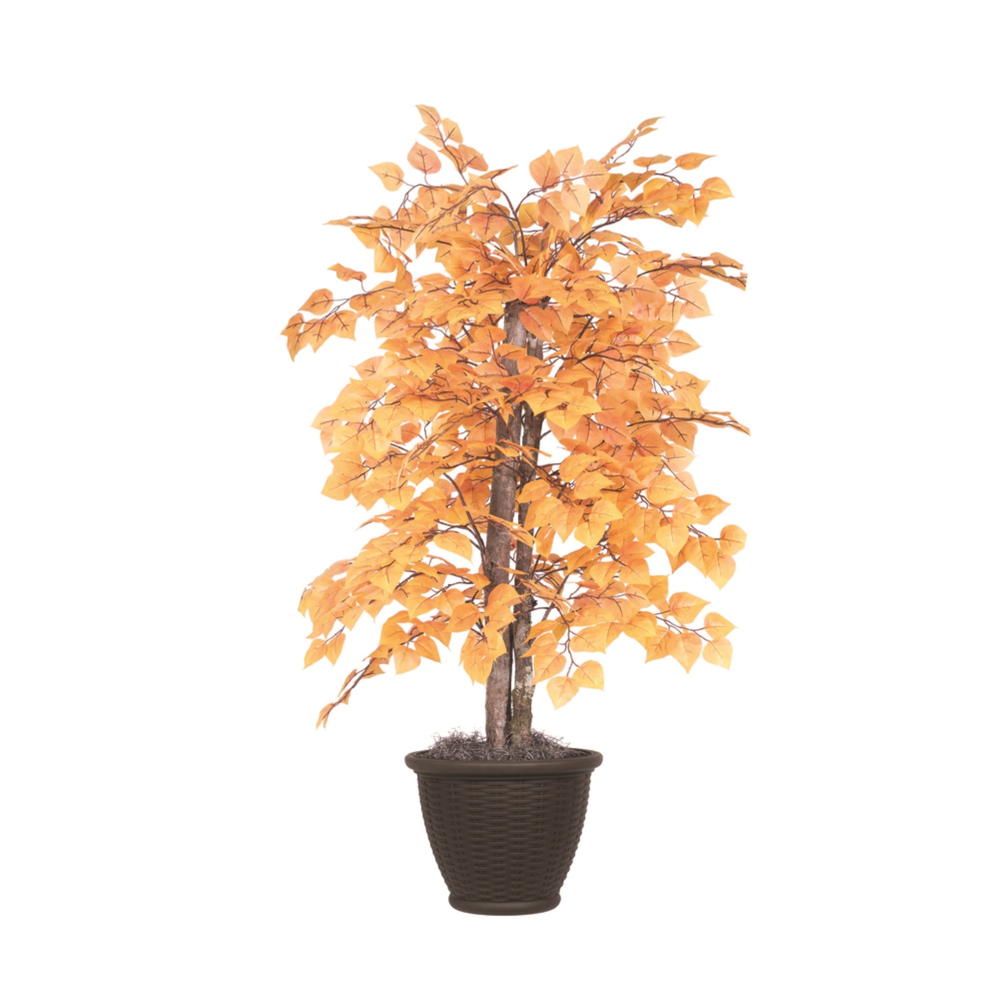 4' Golden Aspen Bush in Brown Plastic