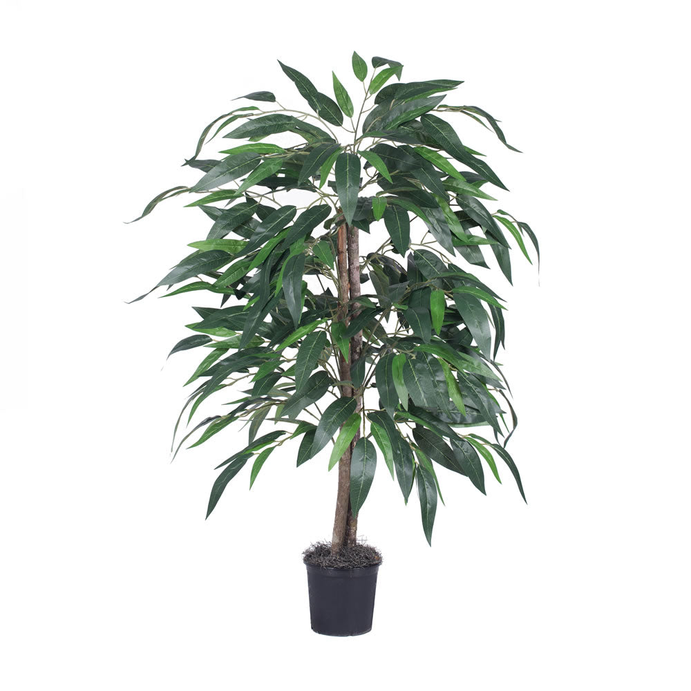 Vickerman 4' Mango Bush - TBU2840-06