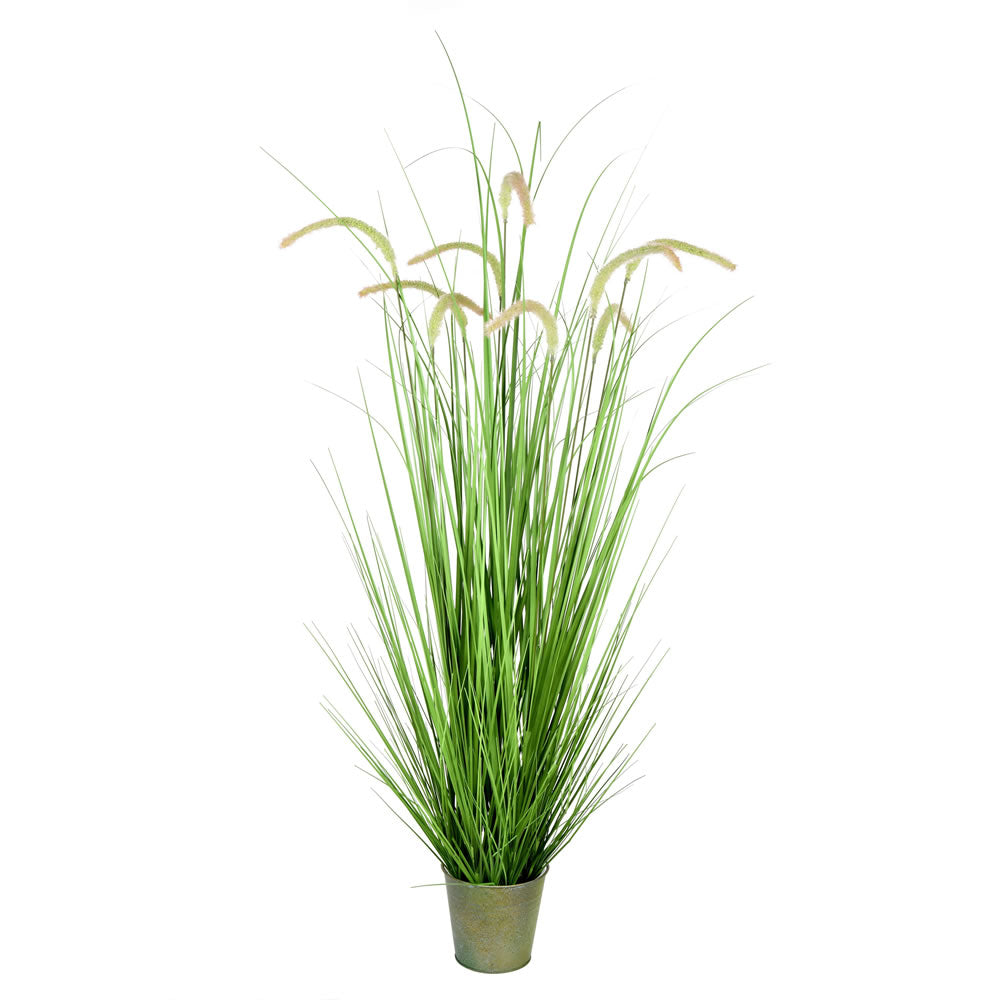 Vickerman 48” Green Cattail Grass In Iron Pot - TD190148