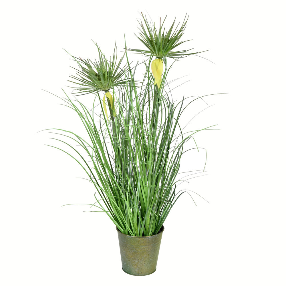 Vickerman 24” Green Cyperus Grass In Iron Pot - TD190224