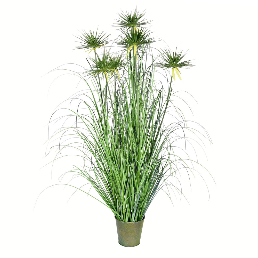 Vickerman 48” Green Cyperus Grass In Iron Pot - TD190248