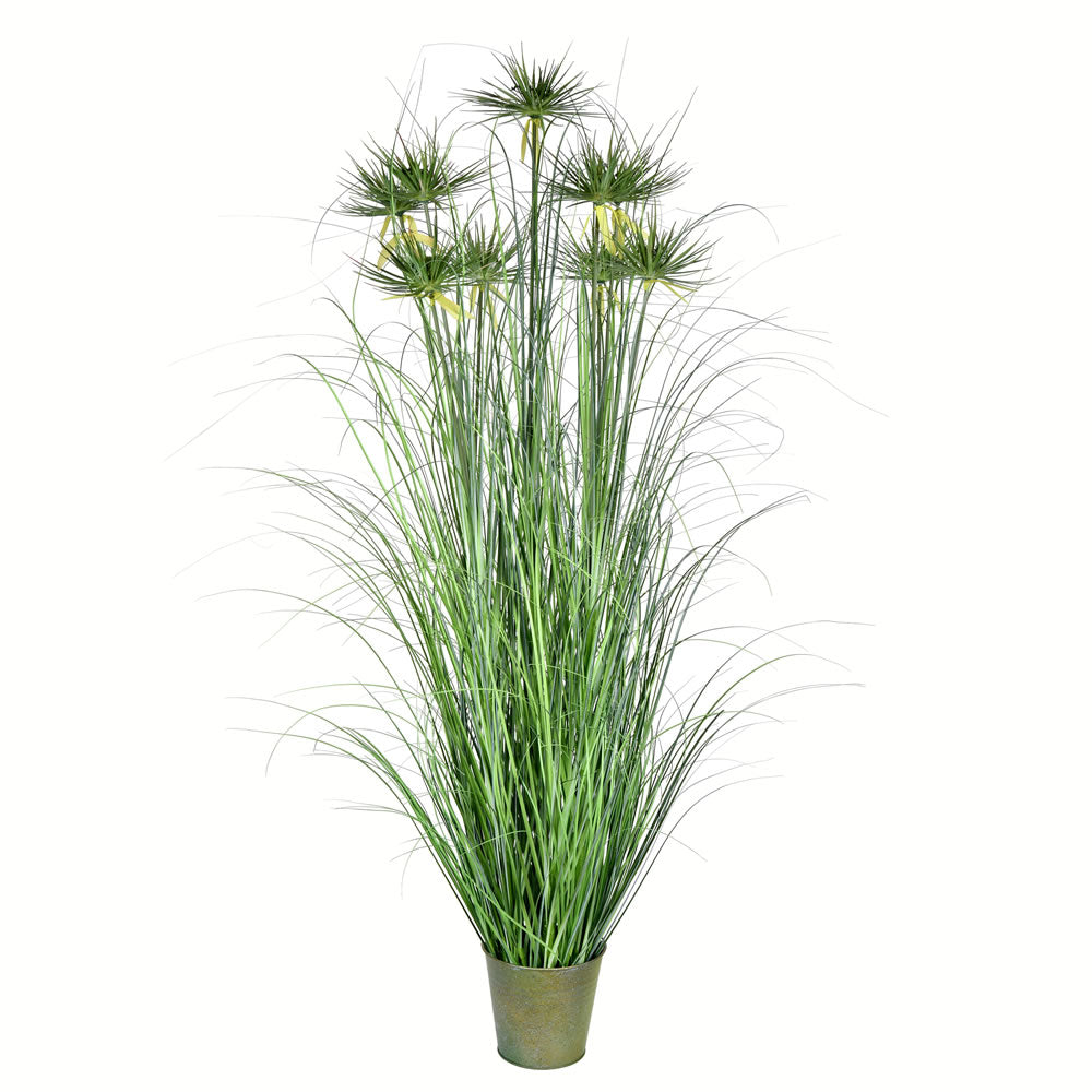 Vickerman 60” Green Cyperus Grass In Iron Pot - TD190260