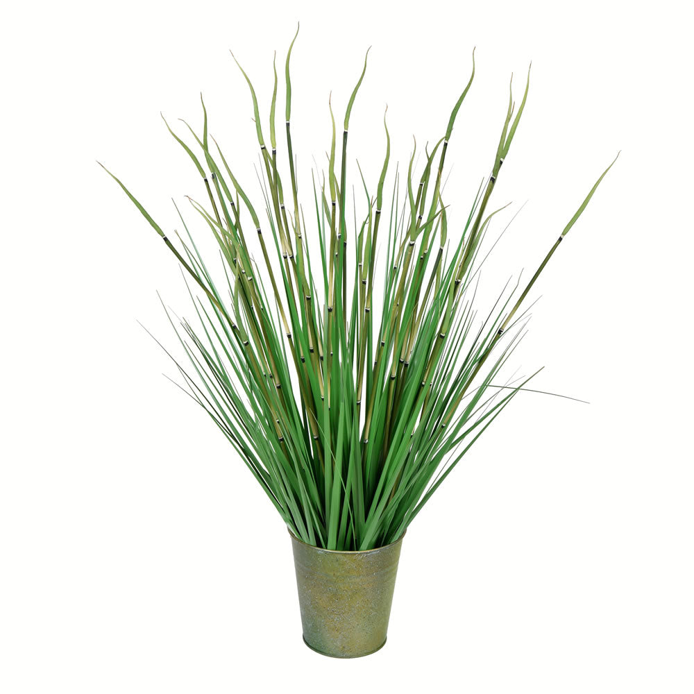 Vickerman 28” Green Reed Grass In Iron Pot - TD190428
